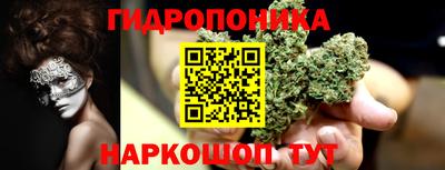 тгк Гусь-Хрустальный
